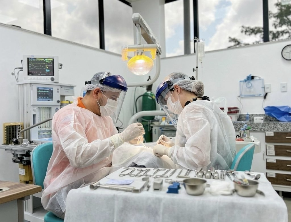 MULHERES VÍTIMAS DE VIOLÊNCIA PASSAM A TER DIREITO À RECONSTRUÇÃO DENTAL GRATUITA PELO SUS