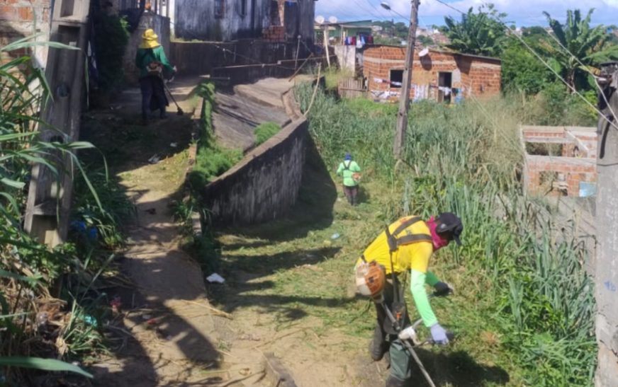 Alto da Esperança recebe serviços de roçagem e limpeza 