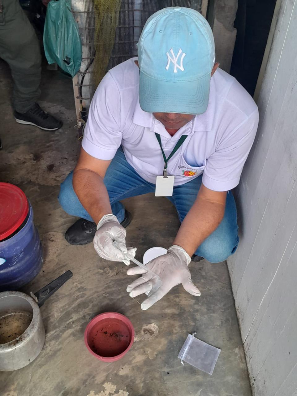Ilhéus reduz índice de infestação do Aedes aegypti de 9,1 para 3,7, aponta levantamento