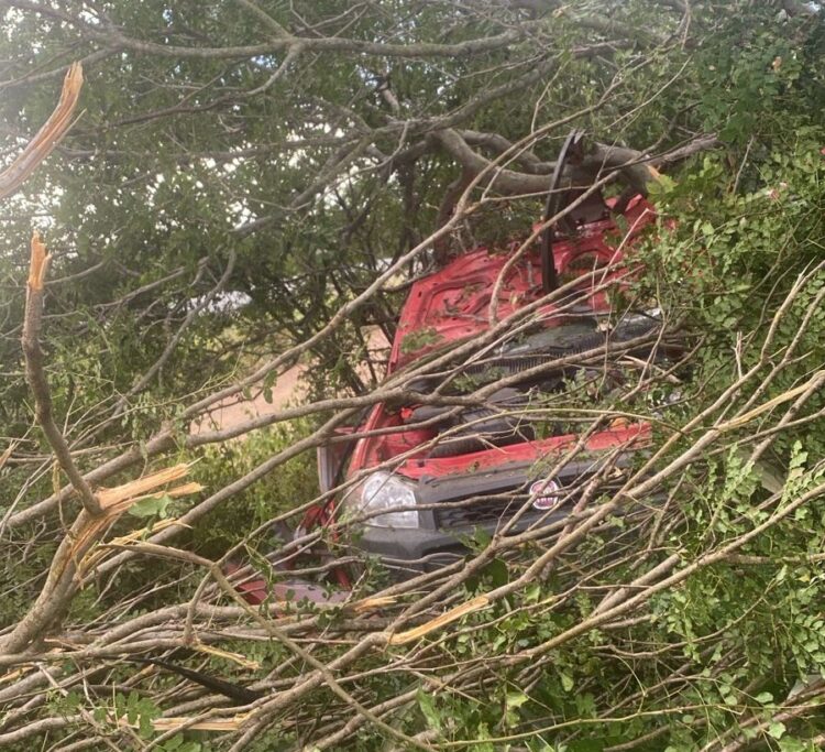 Casal de namorados de São Domingos morre após carro sair da pista e bater em árvore na BR-324; corpos serão sepultados nesta segunda-feira