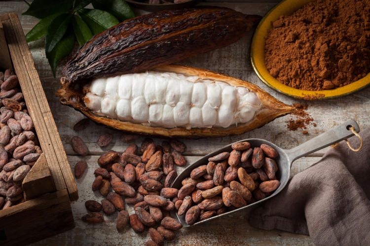 Nova lei define percentual mínimo de cacau nos chocolates 