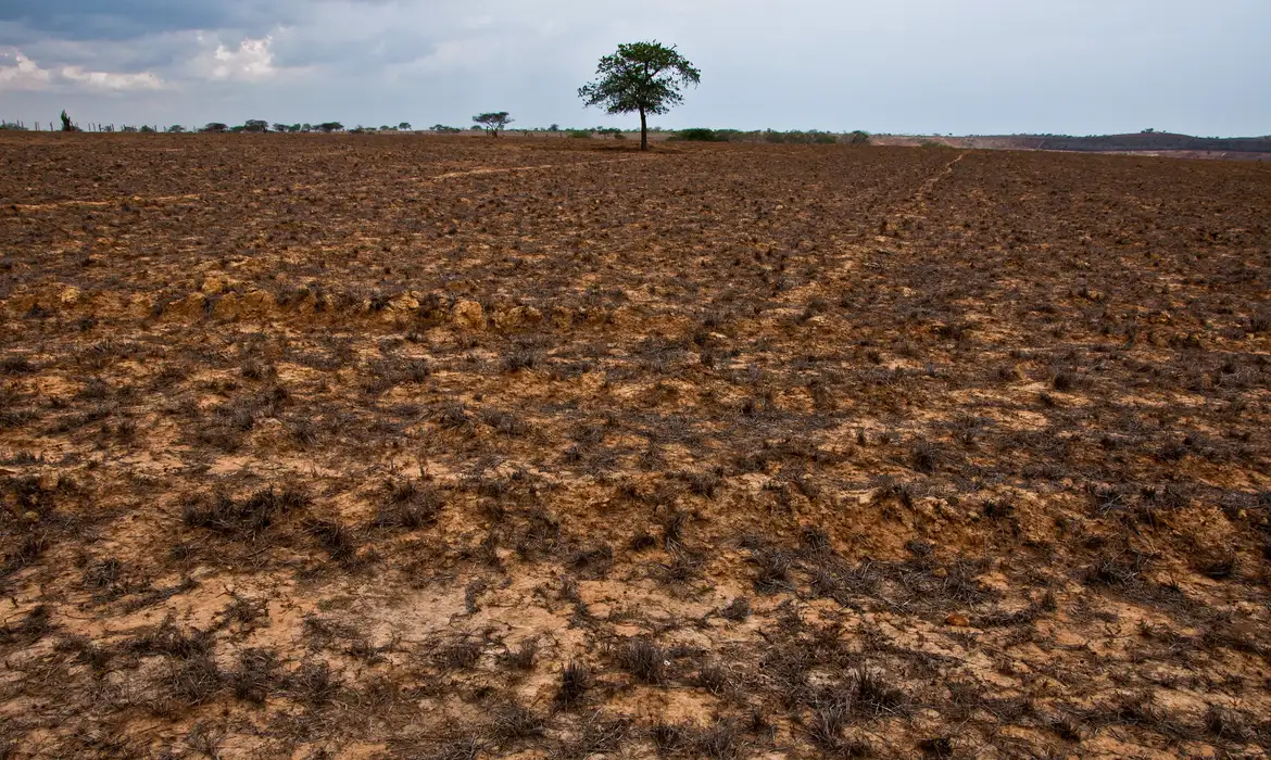 COP17 entra em semana decisiva com missão de destravar financiamento