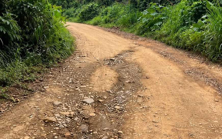 Prefeitura esclarece situação de estrada na Carobeira