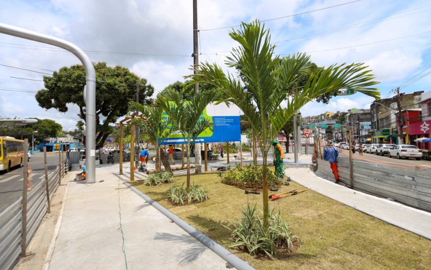 Prefeitura de Ilhéus entrega requalificação do canteiro central da Praça Cairu nesta sexta-feira